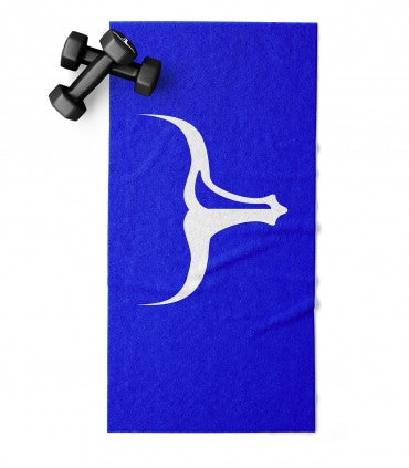 BLUE TORUS GYM TOWEL