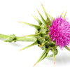 LIVER SUPPORT (120CPS)