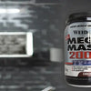 Mega Mass 2000
